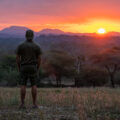 Buffalo, sable & Nyala with Mokore safaris