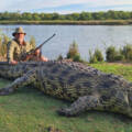 Success of the Man-Eating Croc On the Kavango